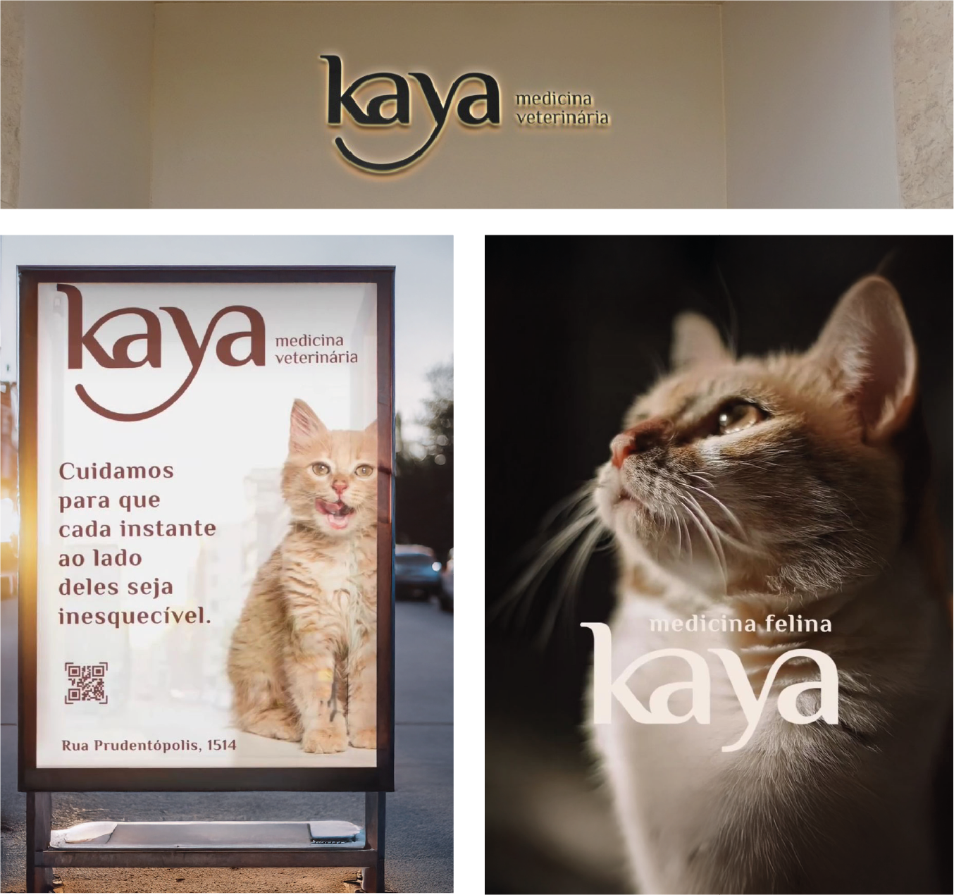 Kaya — visual 5