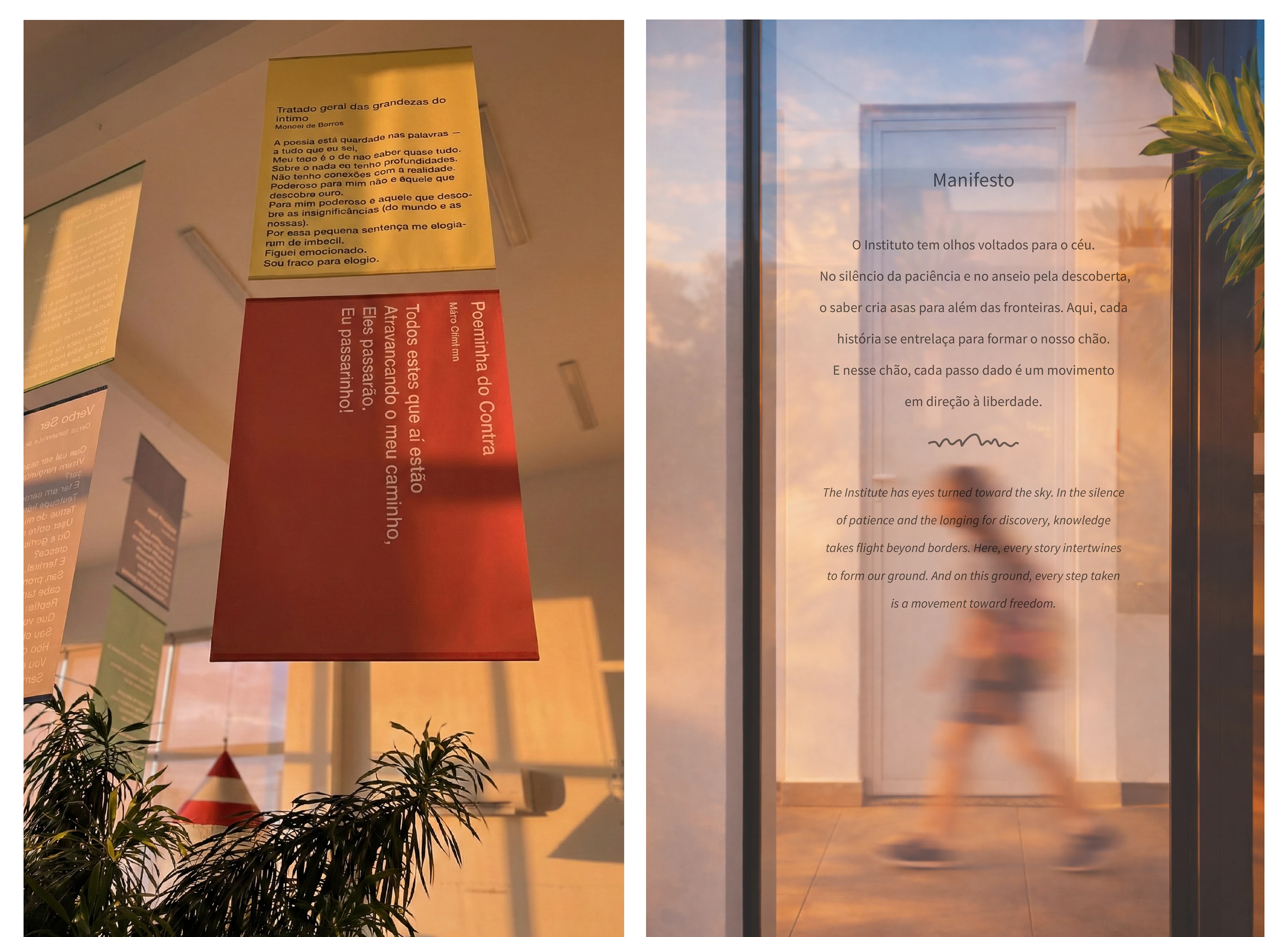Instituto Morro do Meio — visual identity
