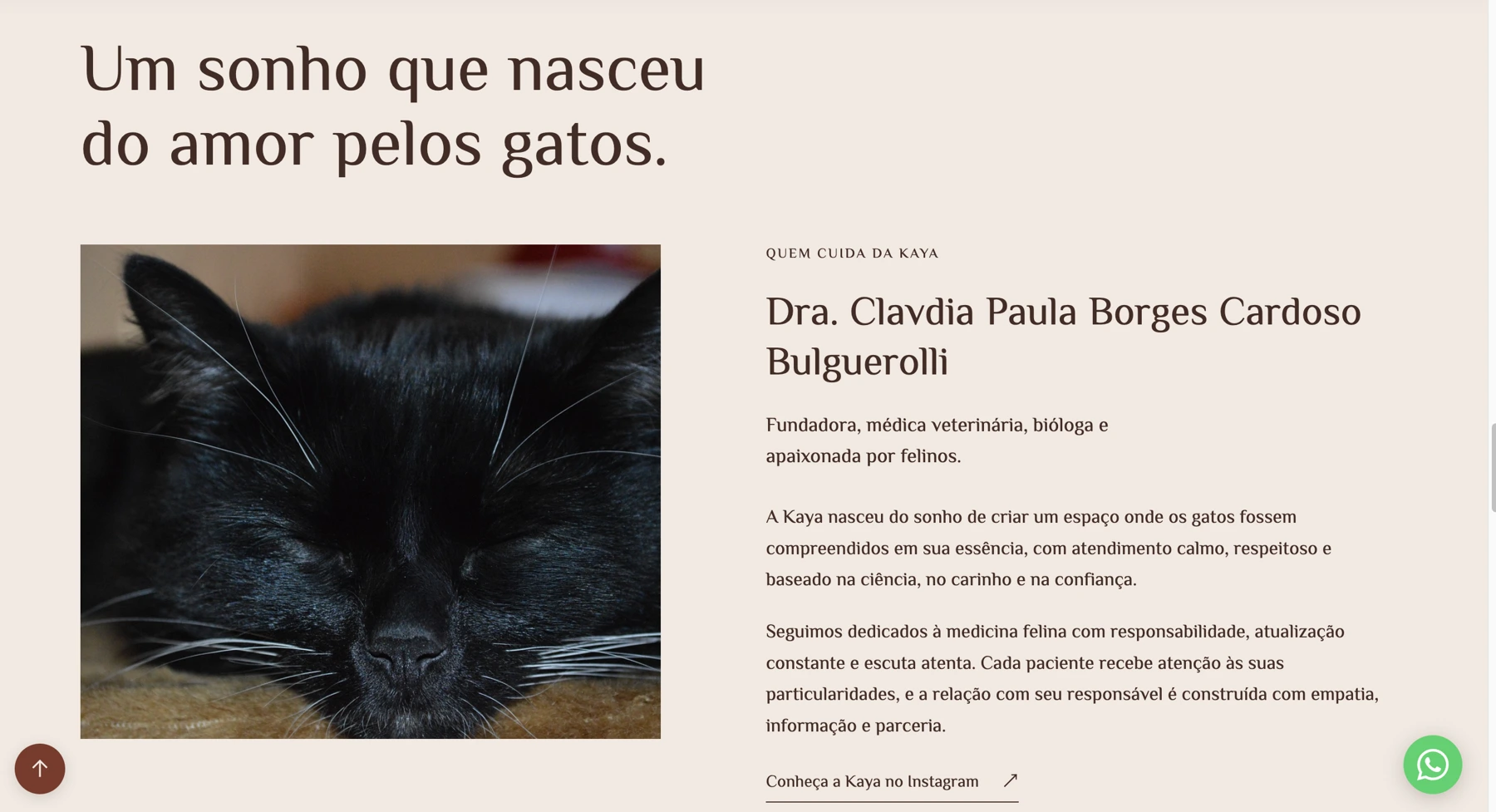 Kaya Medicina Felina — website preview